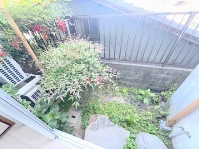 庭