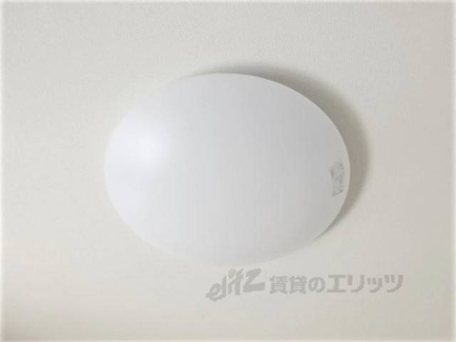 照明
