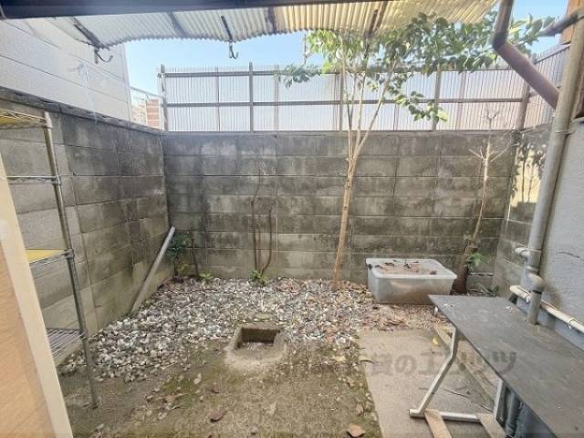 庭