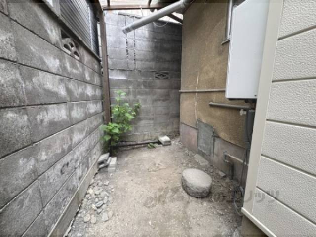庭
