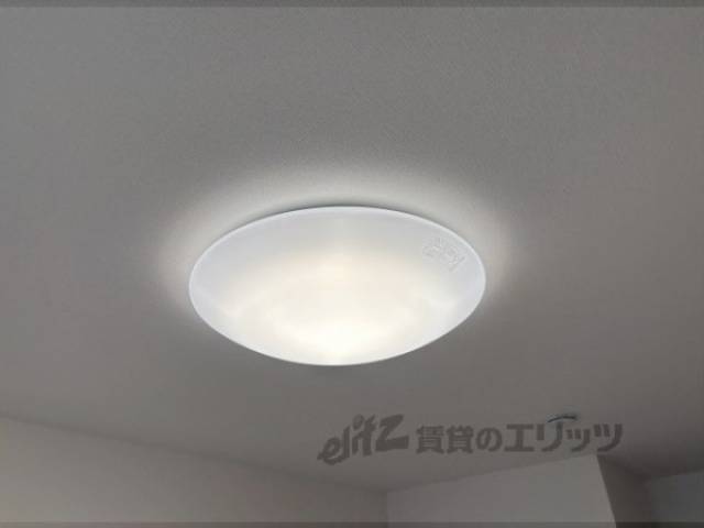 照明