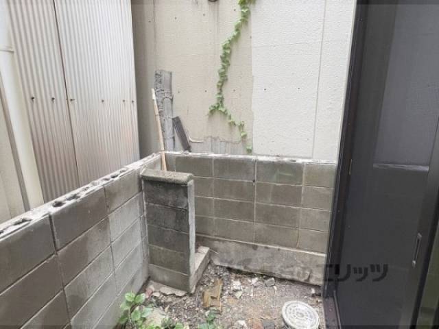 庭