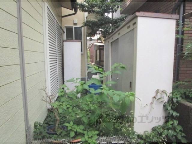 庭