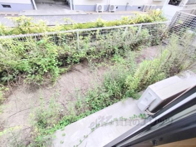 庭