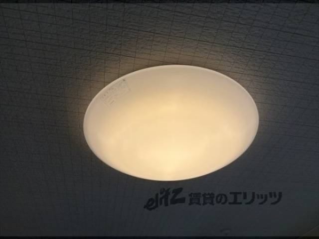 照明