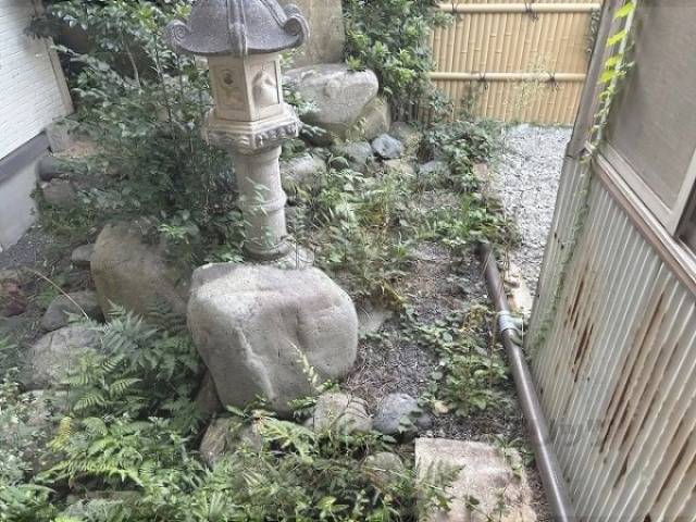 庭