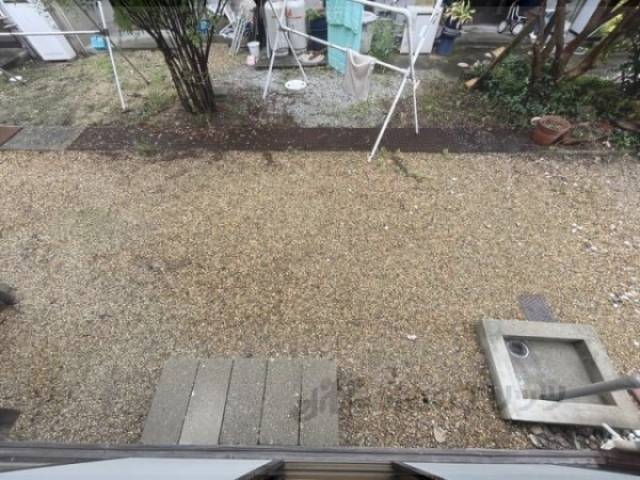 庭