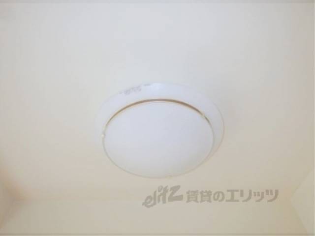 照明