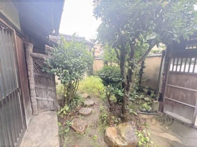 庭