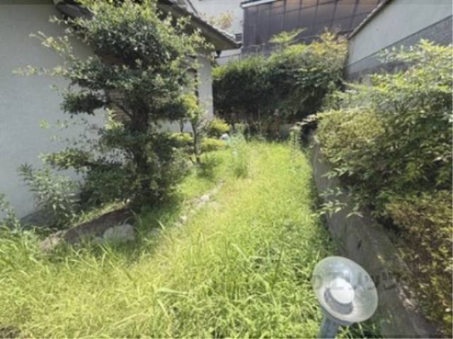 庭