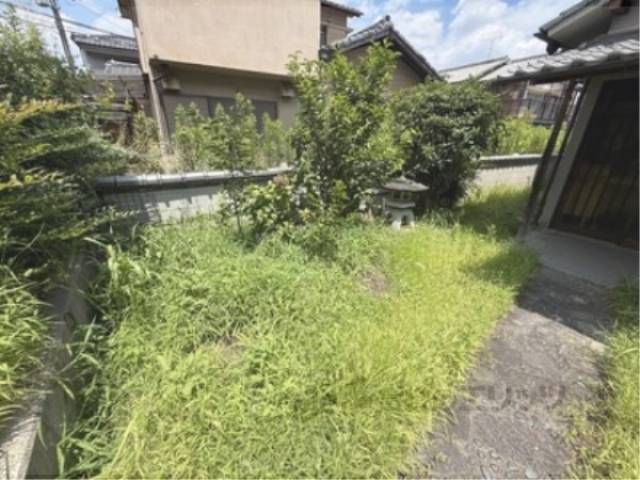 庭