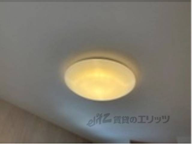 照明
