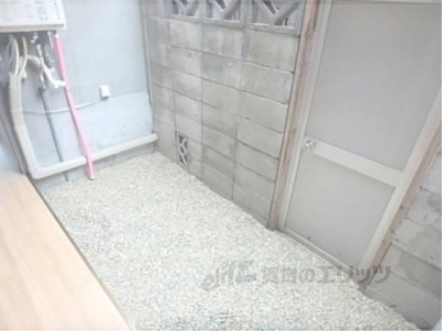 庭