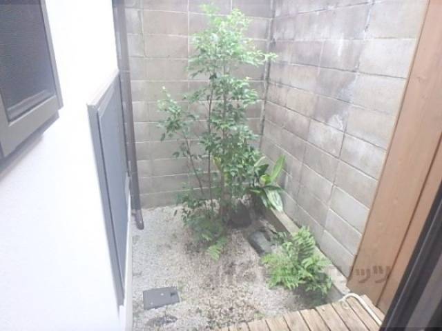 庭