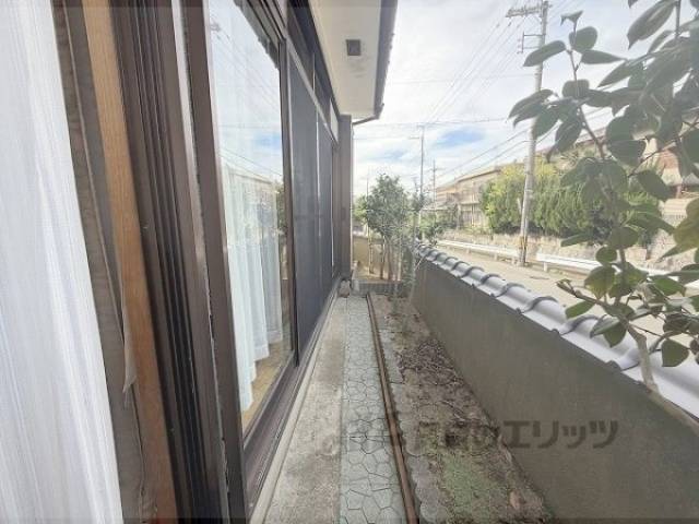 庭