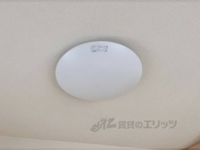 照明