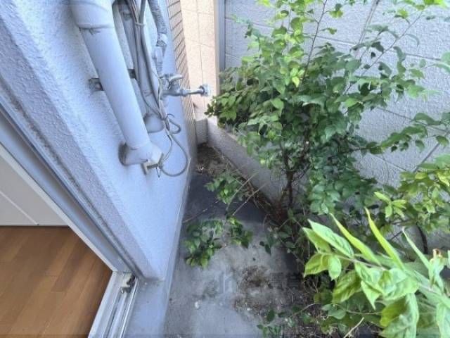 洗濯機置場