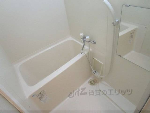 バス