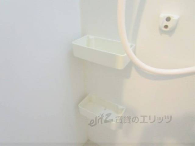 バス