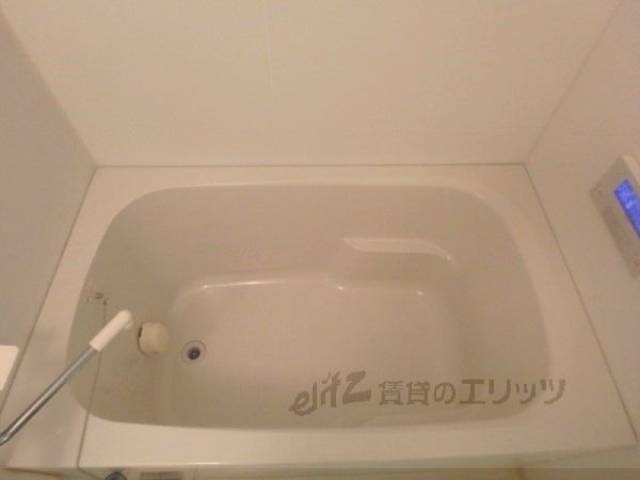 バス