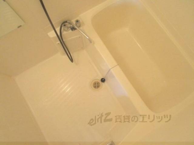 バス