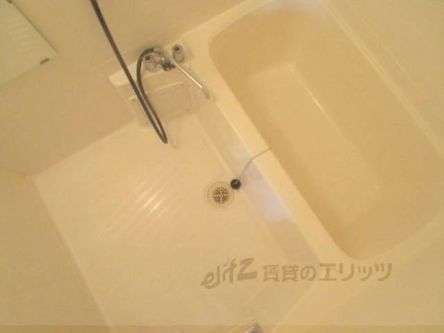 バス