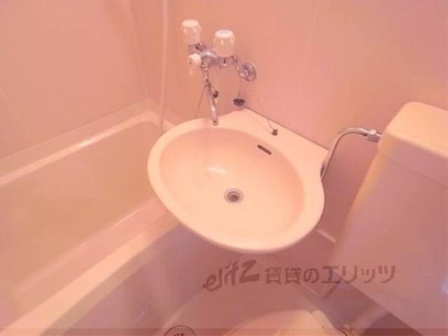 バス