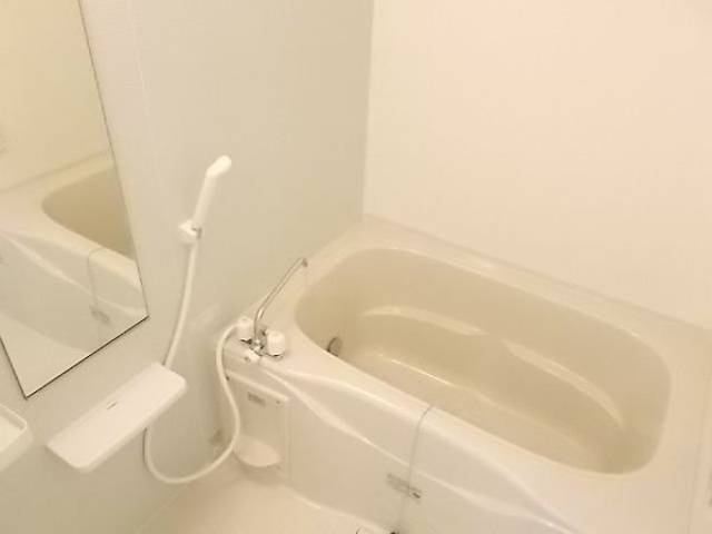 バス