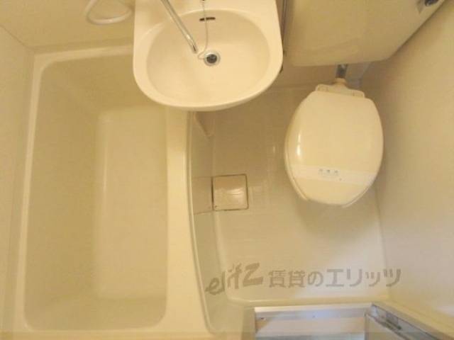 バス