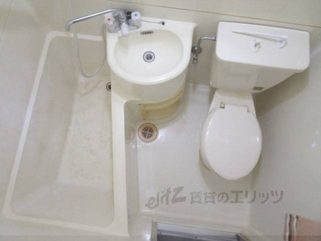 バス