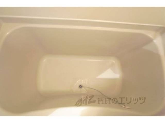 バス