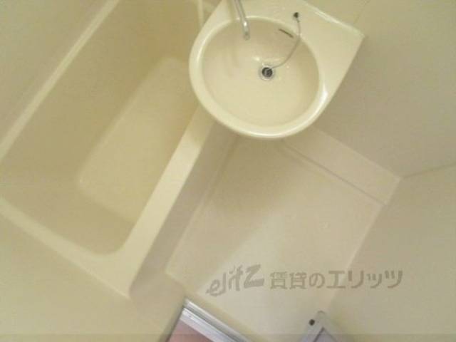 バス