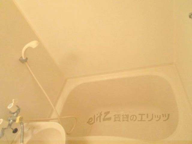 バス