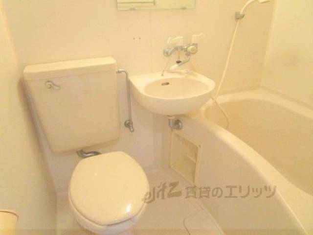 バス