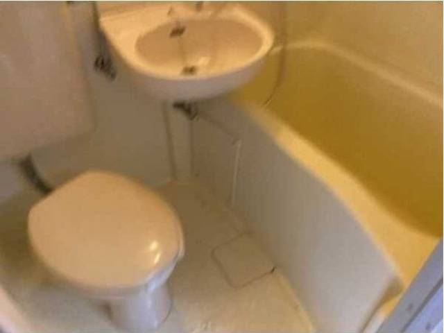 バス