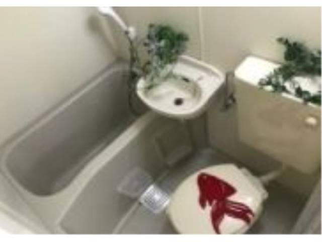 バス