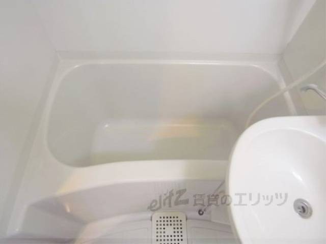 バス