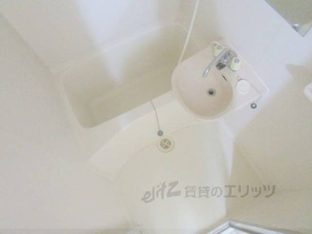 バス