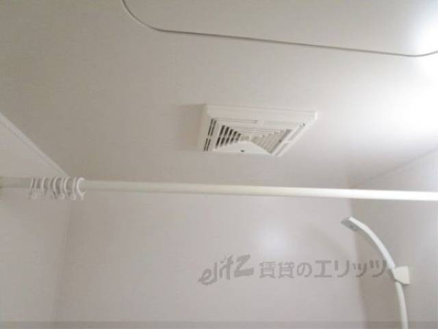 バス