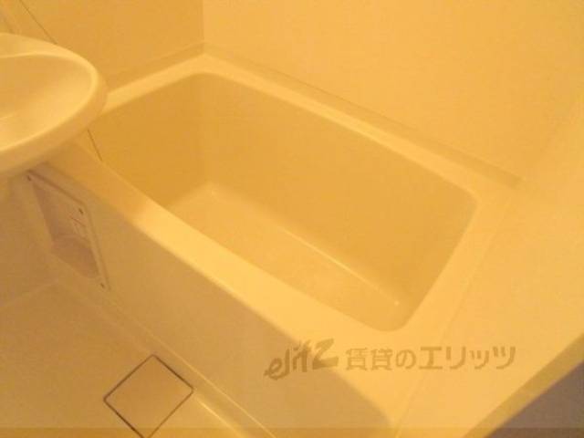 バス