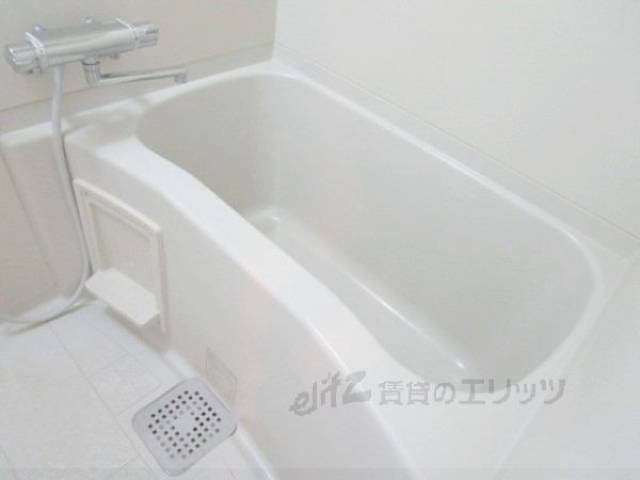 バス