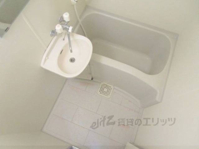 バス