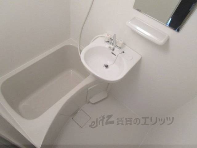 バス