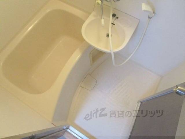 バス