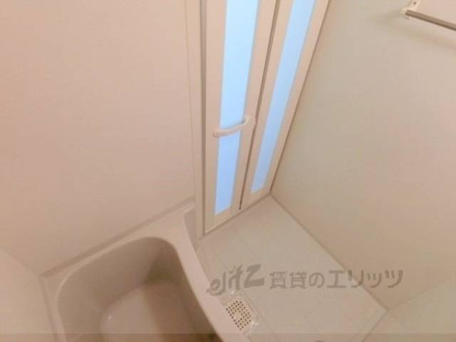 バス