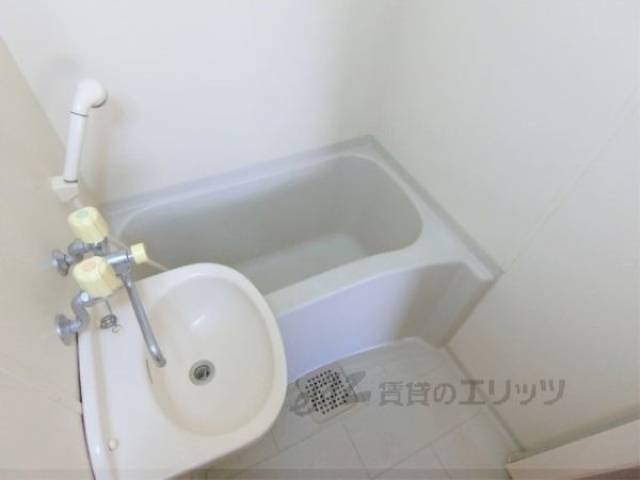 バス