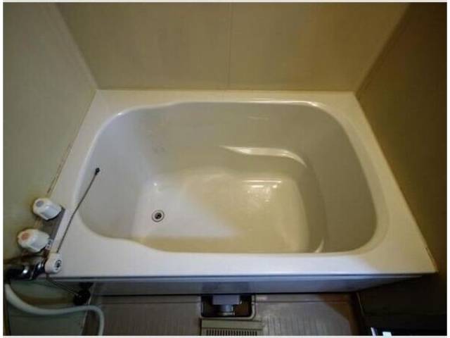 バス