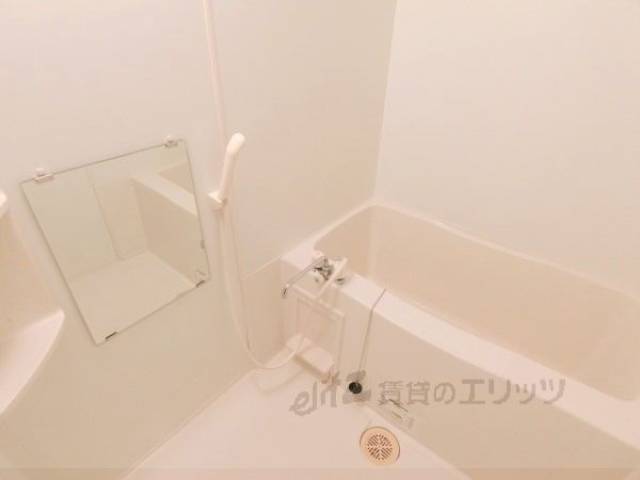 バス