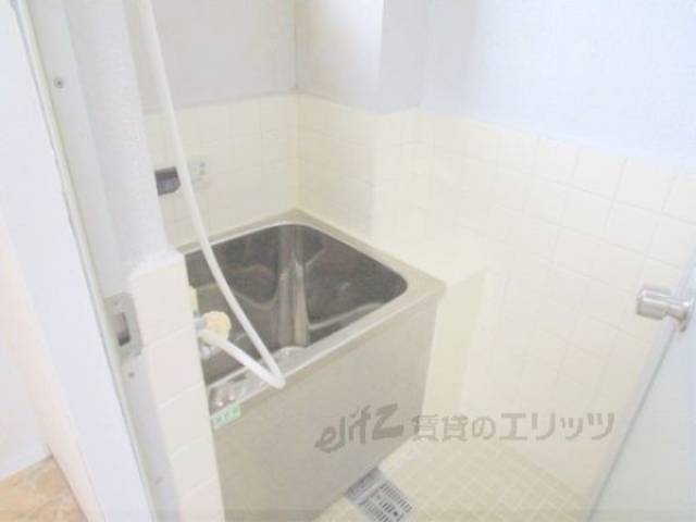 バス