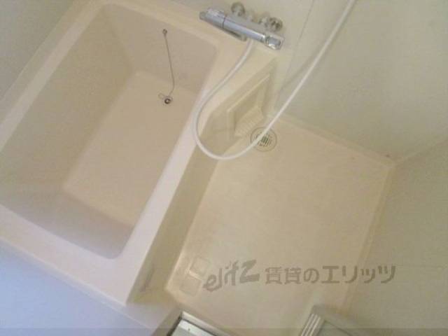 バス